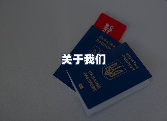 关于我们